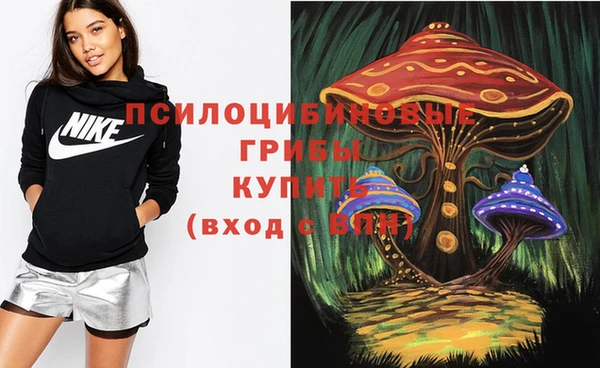 марки nbome Ессентукская