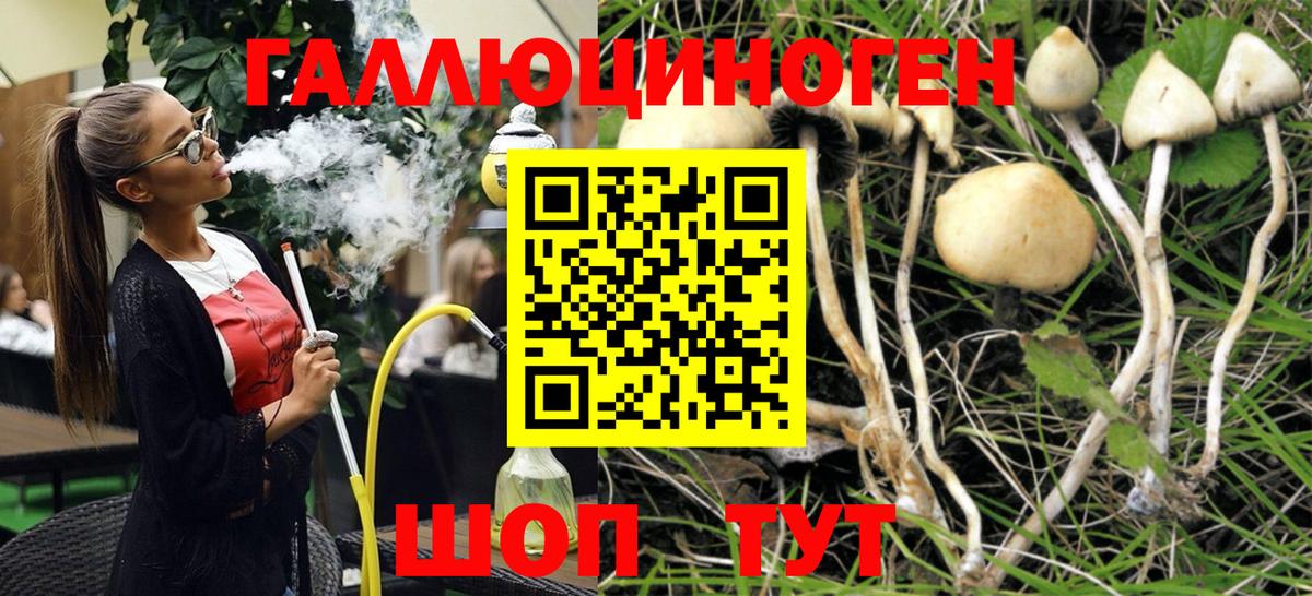 Псилоцибиновые грибы MAGIC MUSHROOMS  Вход с VPN  Малоярославец 